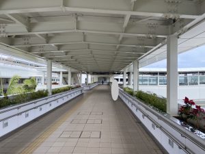 沖縄の風景3